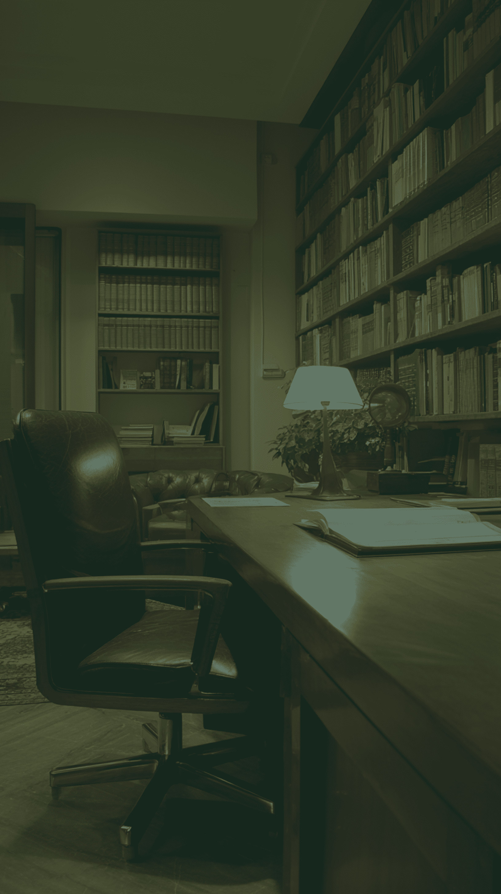 الالتزام والاحترافية